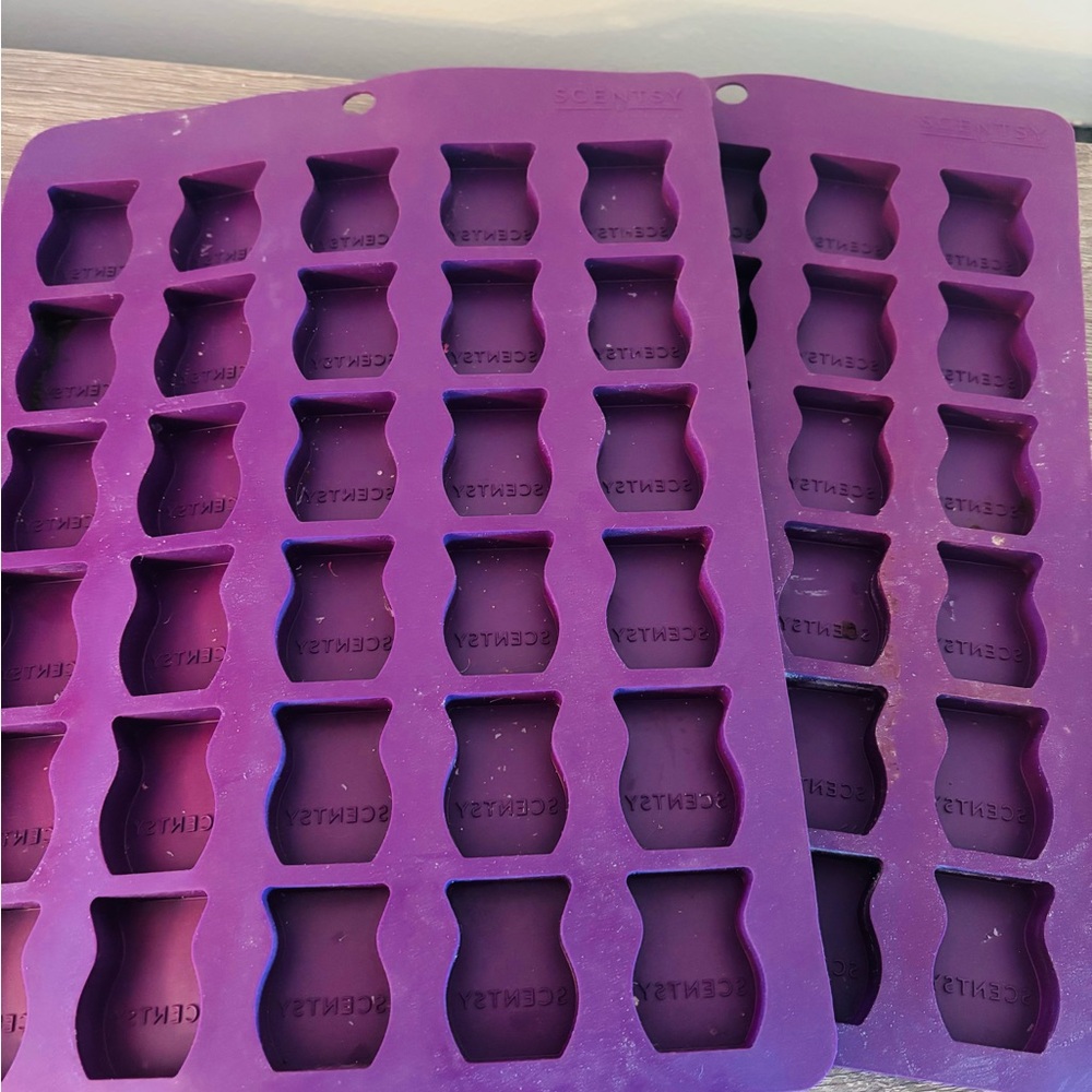 Scentsy wax melt mold